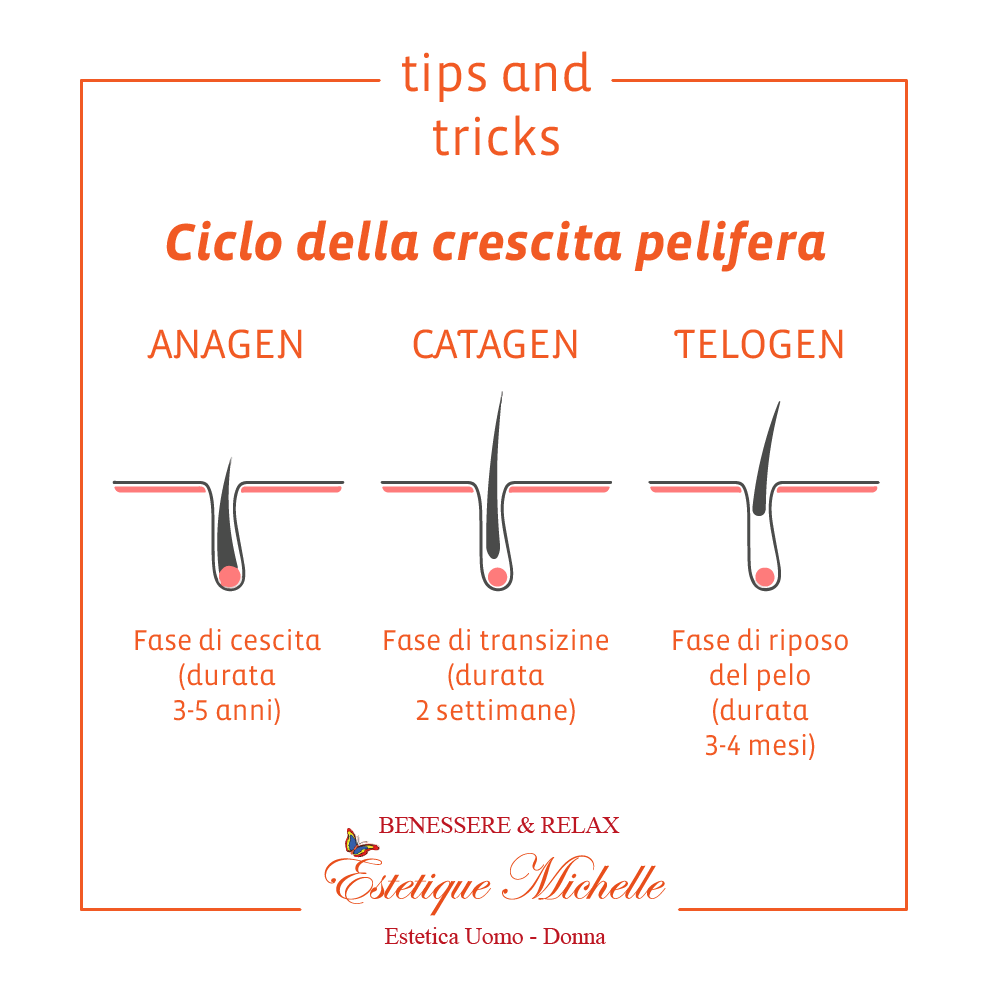 21686739_1840975189251034_4452812930137849015_o