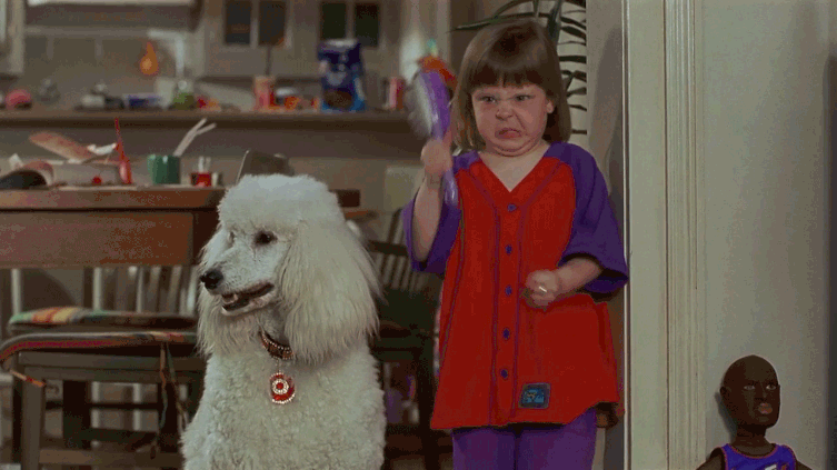 giphy-downsized-large